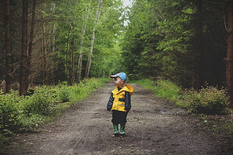 boy's yellow and black hooded jacket in the jungle, black rain HD wallpaper