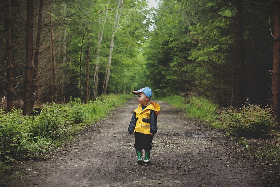 boy's yellow and black hooded jacket in the jungle, black rain HD wallpaper