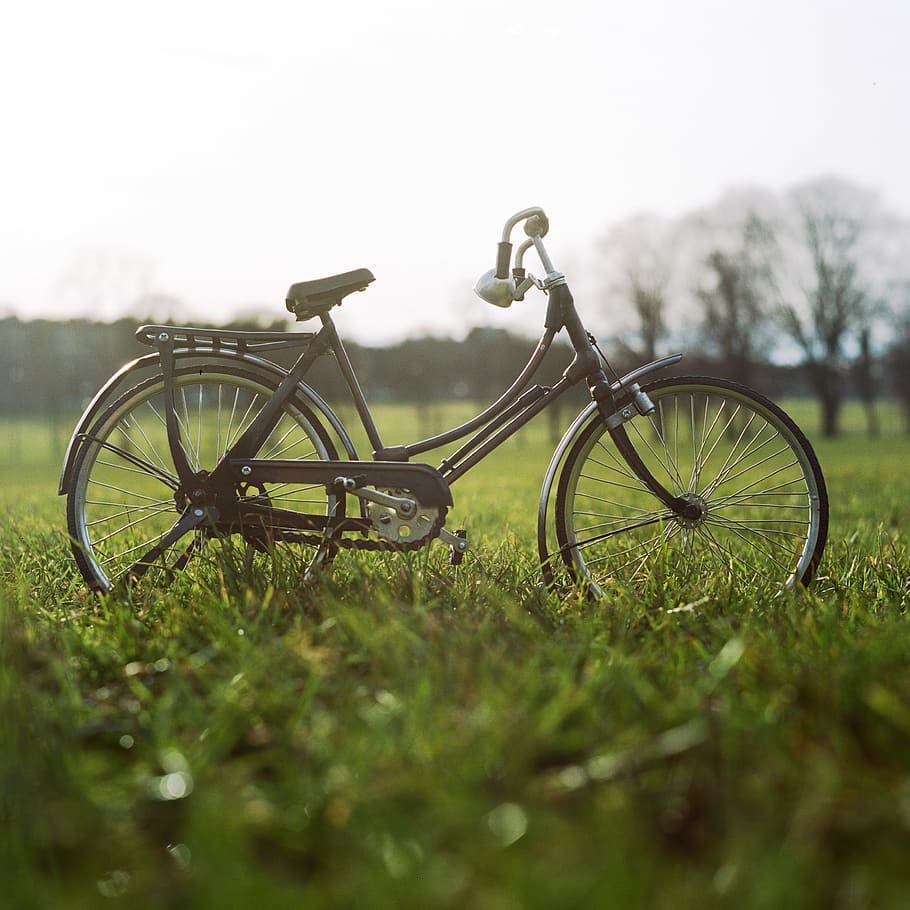 black city bike on green grass field, selective focus photography of black bicycle near tall trees during daytime HD wallpaper