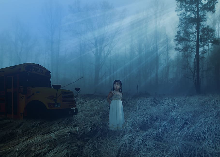 horror, school bus, alone, one person, forest, fog, land, tree HD wallpaper