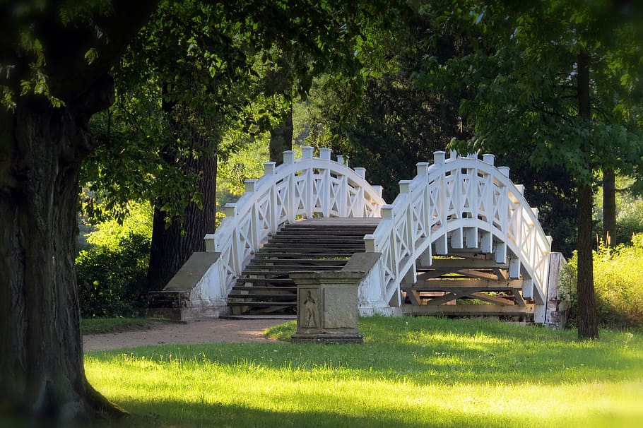 bridge, wörlitz, park, plant, tree, grass, nature, architecture HD wallpaper
