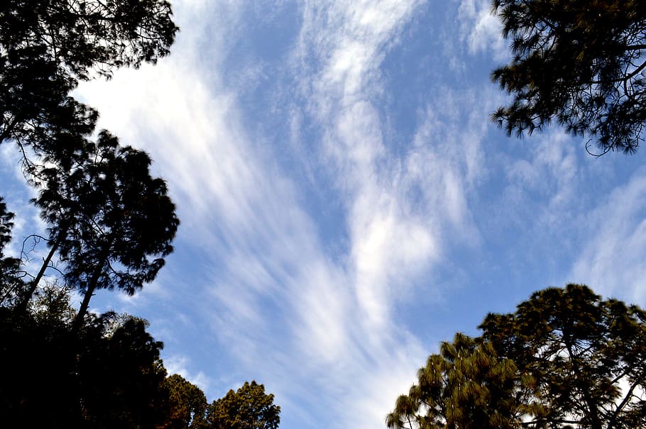 Scenic View of the Sky, clouds, daylight, landscape, nature, outdoors HD wallpaper