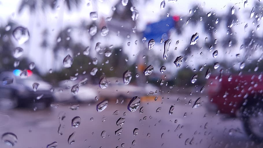 rain, window, water, drop, wet, glass - material, transparent HD wallpaper