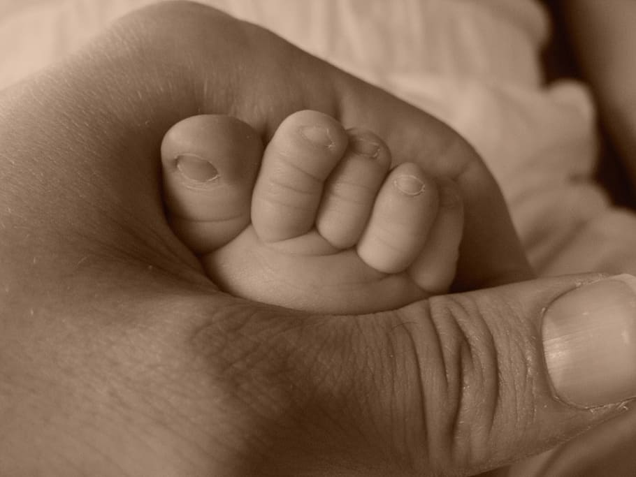 person holding feet of baby, containing, security, child, hand HD wallpaper