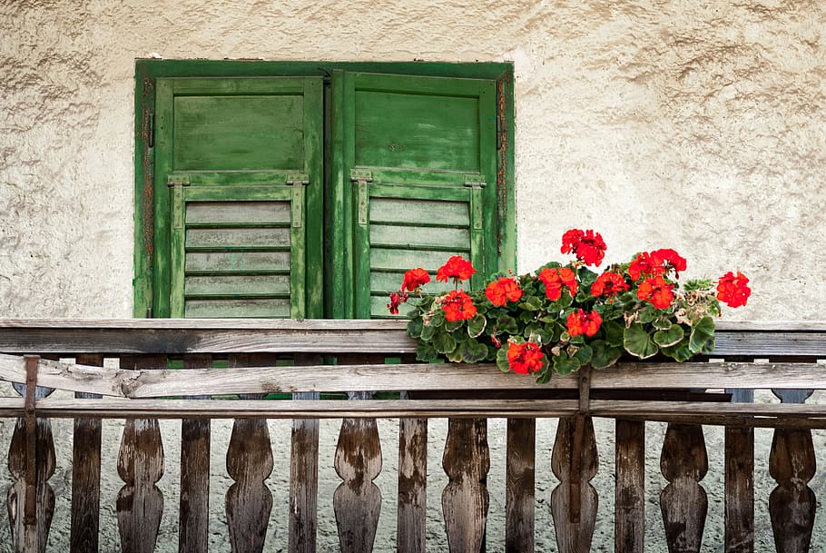 Balcony, Flowers, Plant, Facade, balcony plant, house facade, HD wallpaper