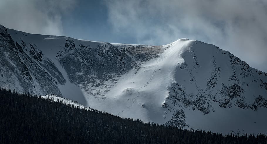 photo of mountain covered with snow, snow covered mountain, forest HD wallpaper