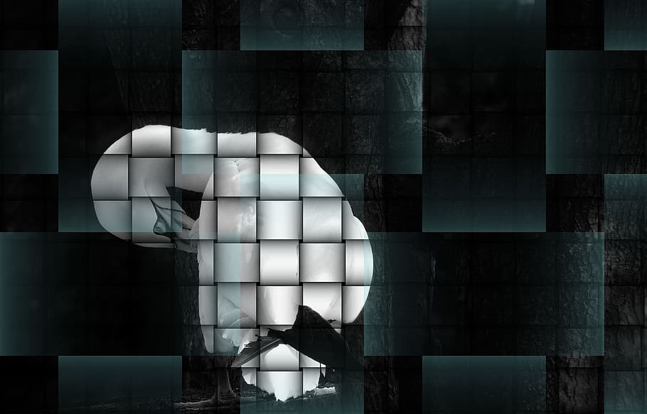 Graphic, Art, Abstract, Braid, Image, style, puzzle, tree, painting HD wallpaper