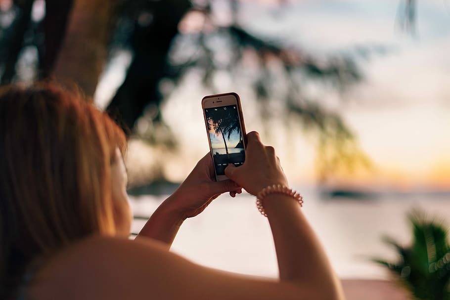 woman taking photo of green tropical tree at beach, woman using smartphone taking photo of tree HD wallpaper