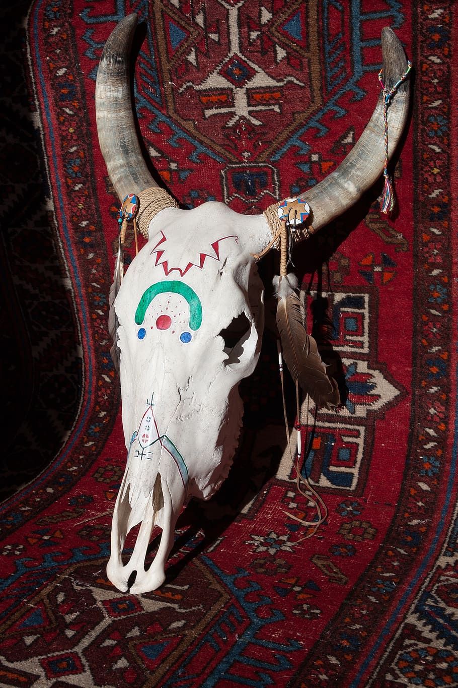 animal skull on area rug, beef, painted, horn, bone, cattle skull HD wallpaper