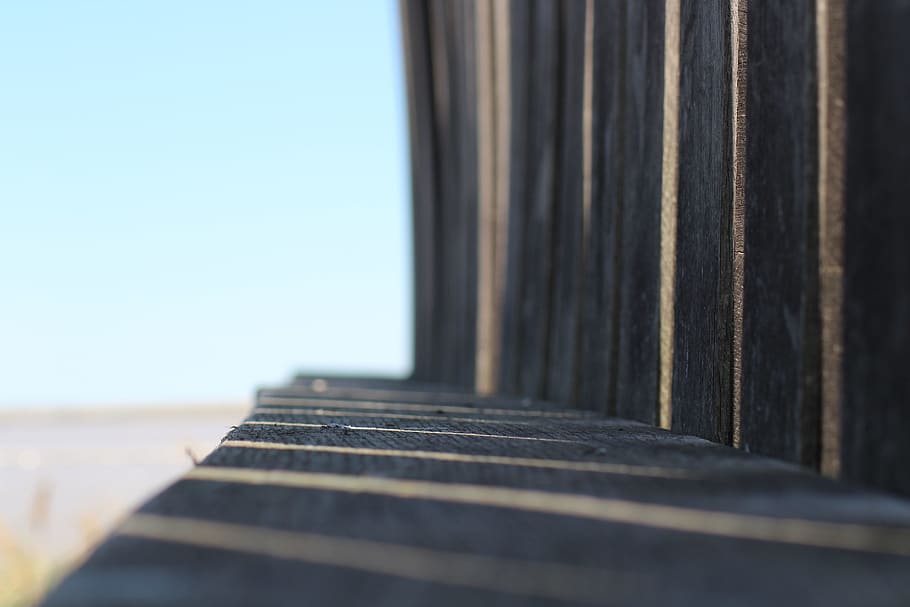 Wood, Shadow, Contrast, Light, Estuary, nature, selective focus HD wallpaper