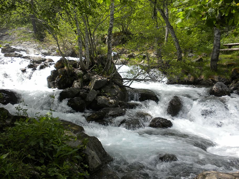 spain, andorra, streams, forest, trees, beauty in nature, water HD wallpaper