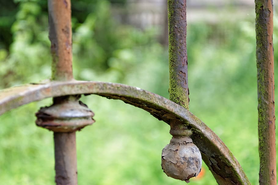 Fence, Abstract, Macro, Grid, Nature, out, go for a walk, distract HD wallpaper