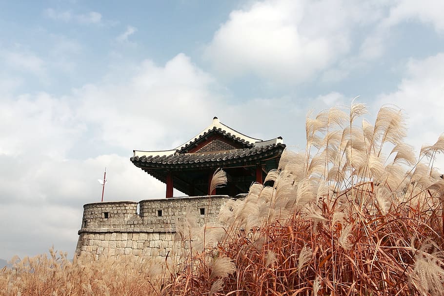 suwon, mars, autumn, castle, high, world cultural heritage, HD wallpaper