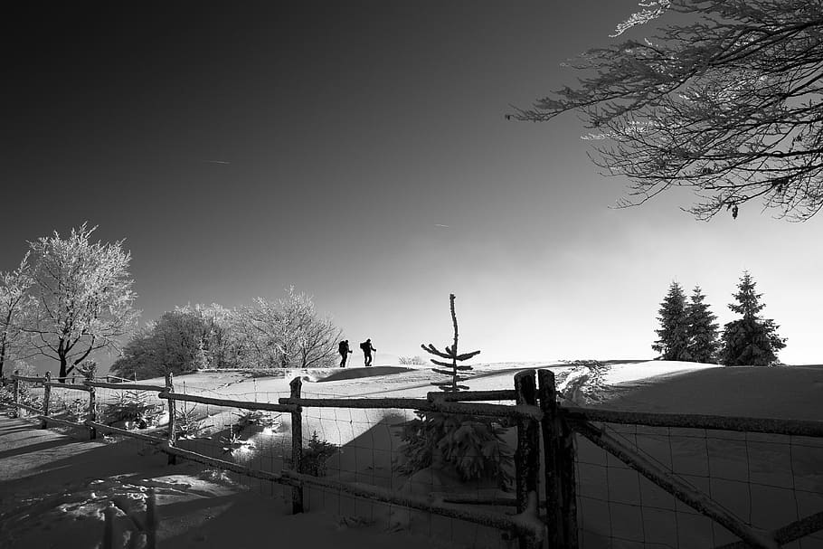 grayscale photo of two persons walking on snow covered ground HD wallpaper