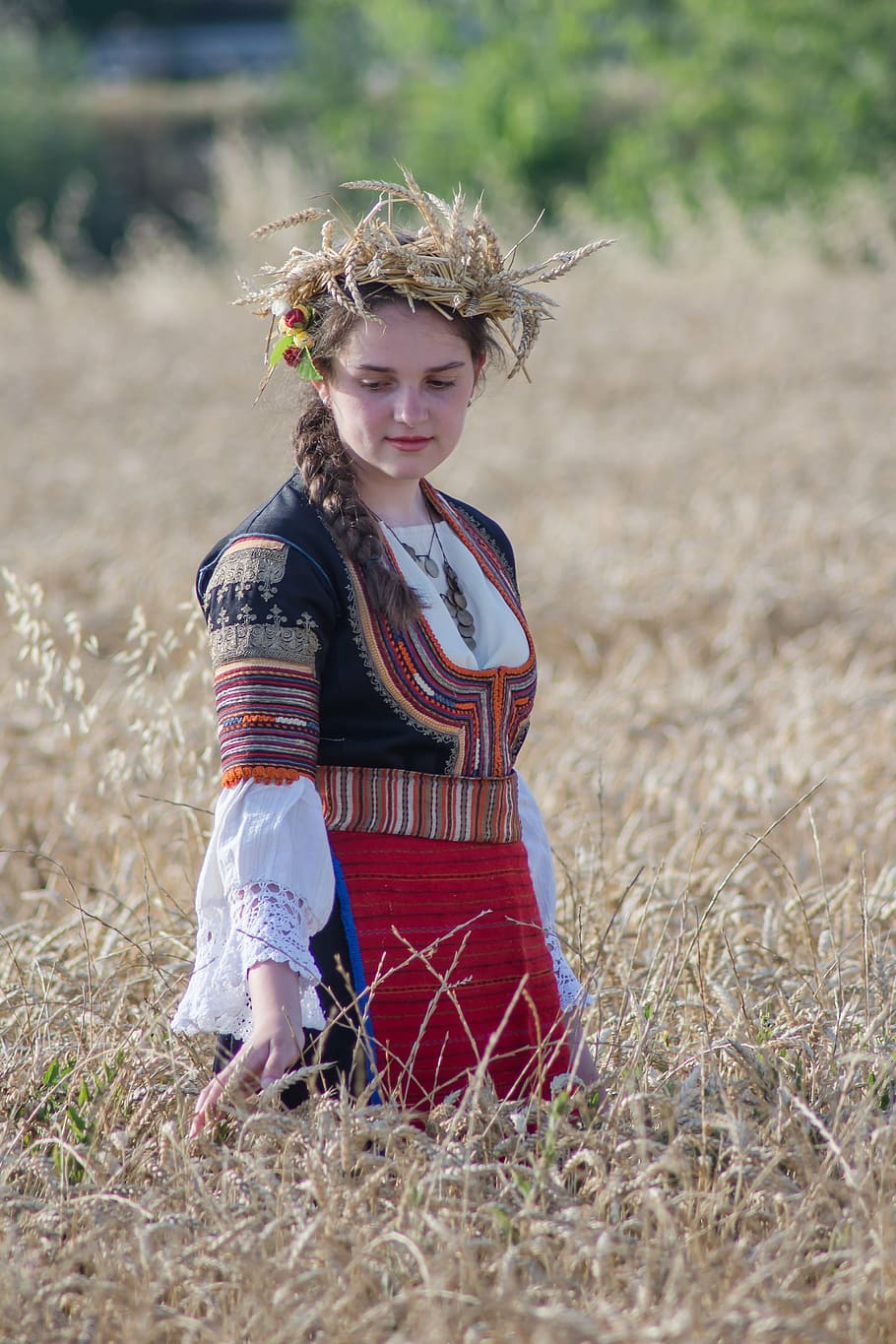 selective focus photo of woman standing on wheat field during daytime