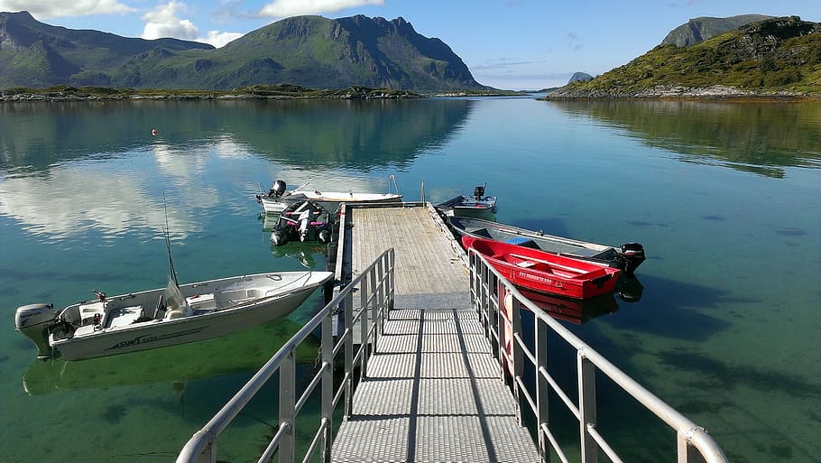 Norway, Lofoten, Boot, Fish, Water, scandinavia, fjord, holiday HD wallpaper