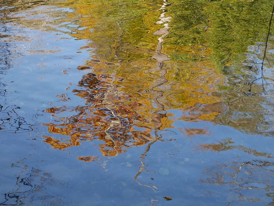 reflection, tree, fall, water, mirror, waterfront, day, nature HD wallpaper