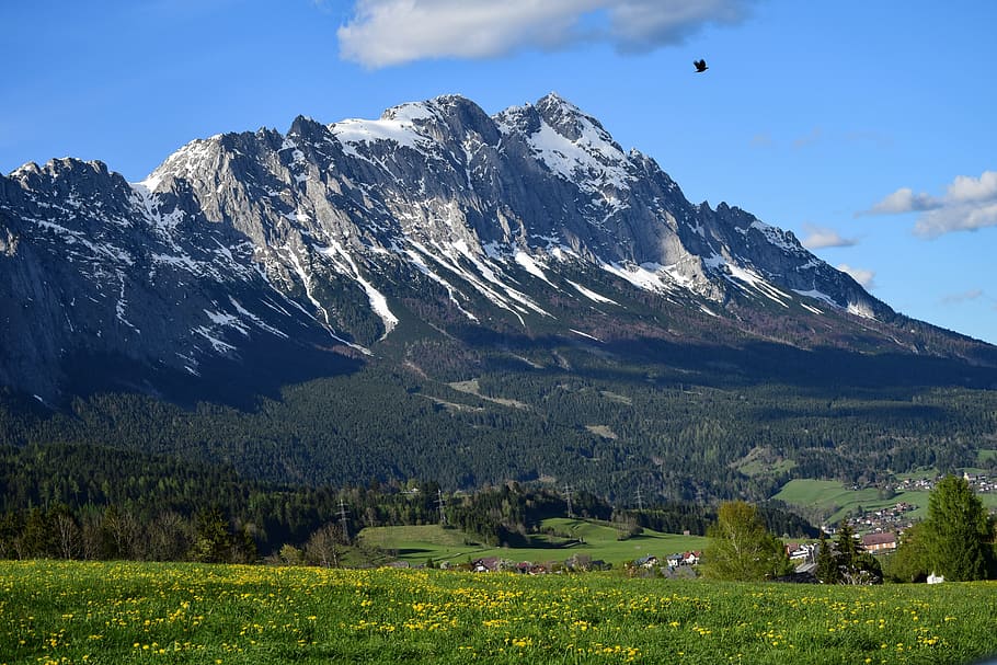 alps, mountain, landscape, bird, nature, environment, beauty in nature HD wallpaper