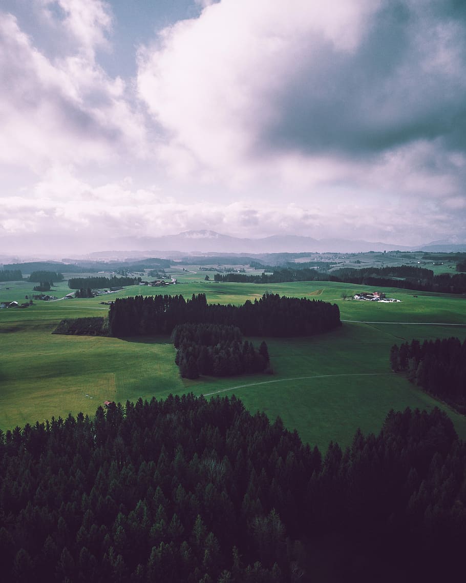 aerial photography of trees on grass field at daytime, high angle view of trees under cumulus clouds HD wallpaper