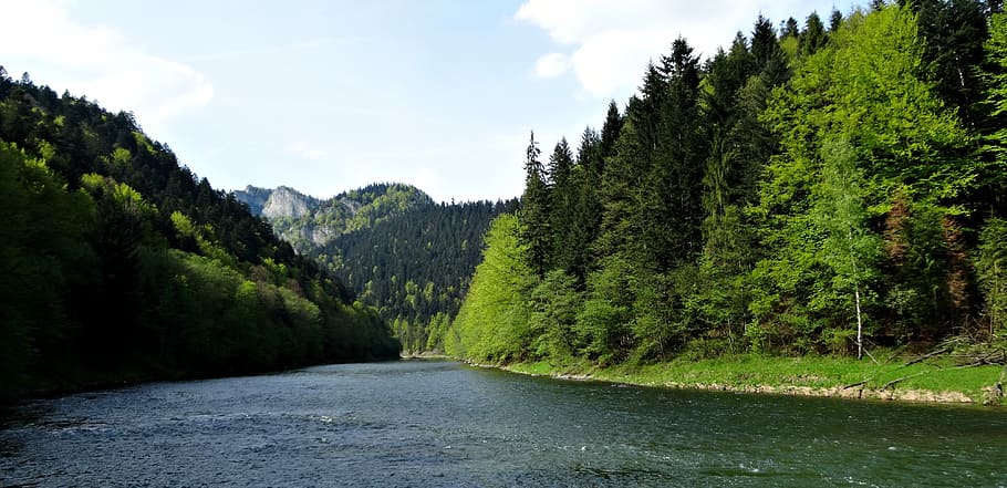 pieniny, spring, dunajec, landscape, nature, poland, tourism HD wallpaper