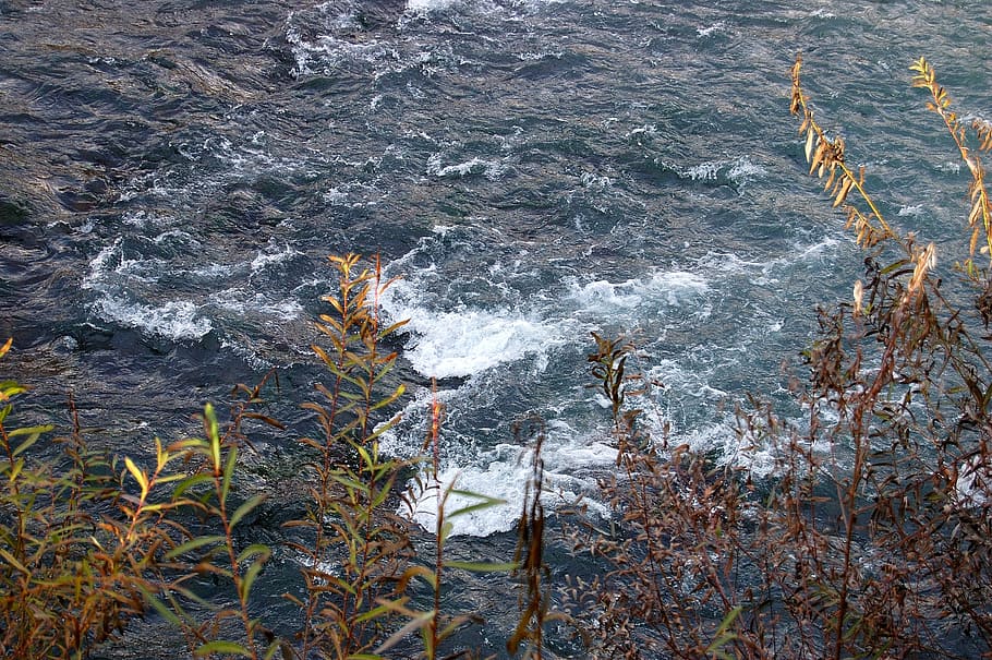 river, flow, spray, water, nature, rapids, shrubs, sea, wave HD wallpaper