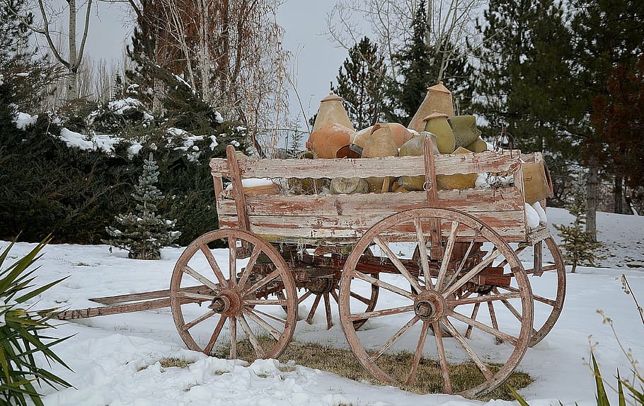 carriage, rides, trees, outside, snow, winter, carriage rides HD wallpaper