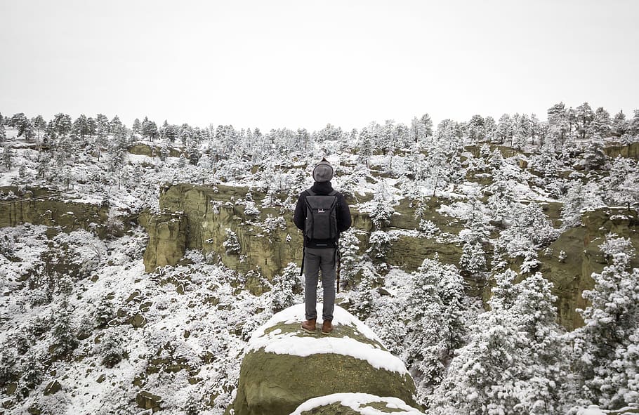 person standing on cliff in front of forest, person standing on gray rock formation HD wallpaper