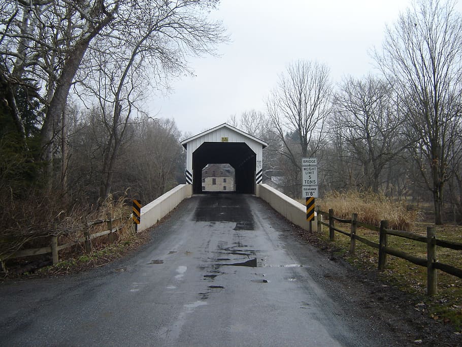 lancaster, covered bridge, amish, tree, transportation, the way forward HD wallpaper