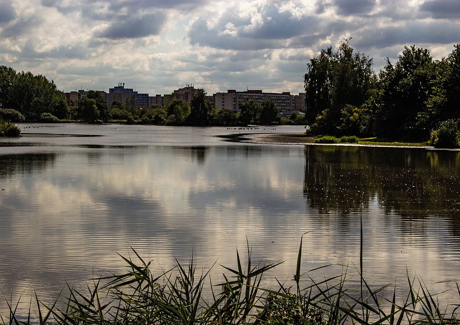 pond, landscape, water, sky, cloud - sky, reflection, plant HD wallpaper