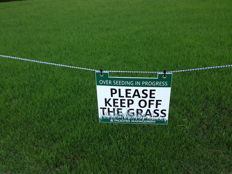 keep off, grass, sign, notice, rules, warn, landscape, caution HD wallpaper