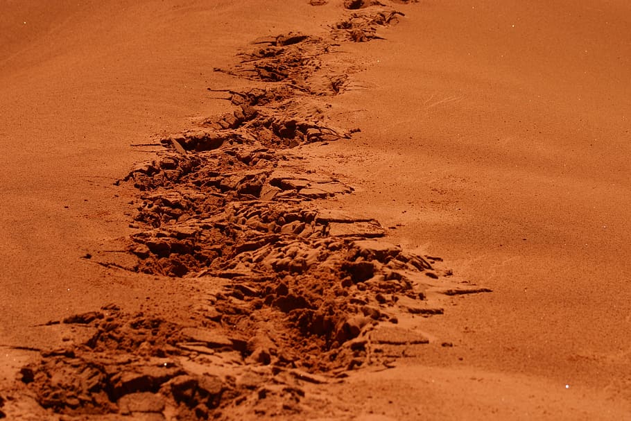 brown sand during daytime, steps, footsteps, land, nature, no people HD wallpaper