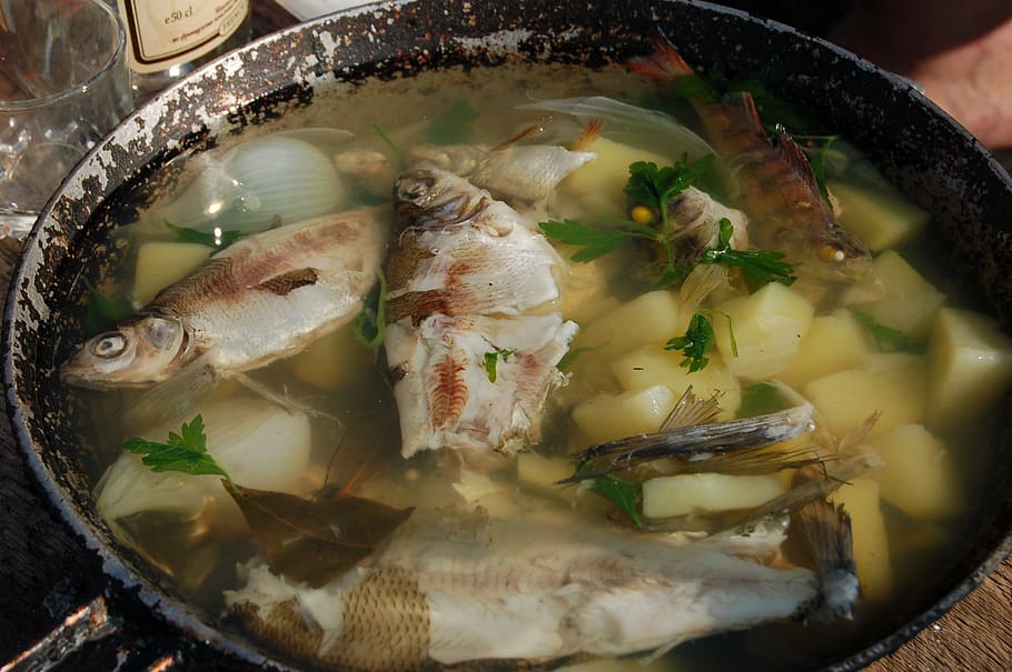 Ear, Soup, Fish, First, Meal, Food, first meal, frying pan HD wallpaper