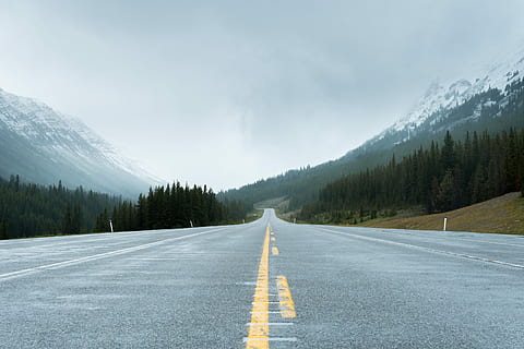 roadway near trees, concrete road between mountains with trees HD wallpaper