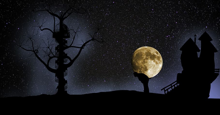 silhouette of person between tree and house during full moon