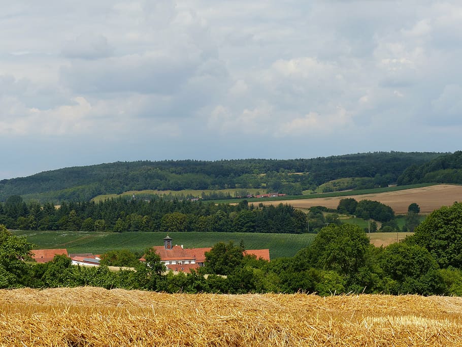 summer, hate mountains, upper franconia, forest, landscape HD wallpaper