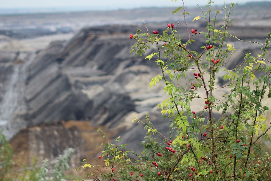 mining, open pit mining, brown coal, dump, overburden, nature HD wallpaper