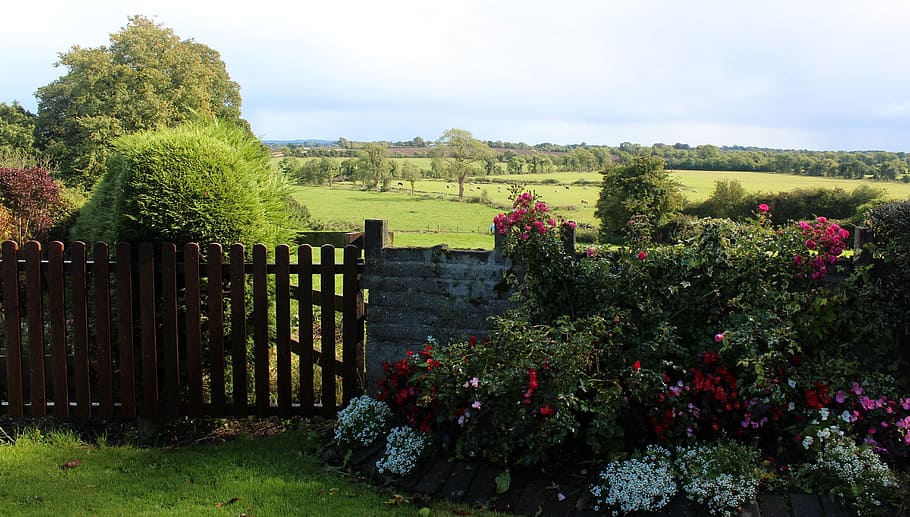 Ireland, Scenery, Landscape, Scenic, countryside, gate, farmland, HD wallpaper