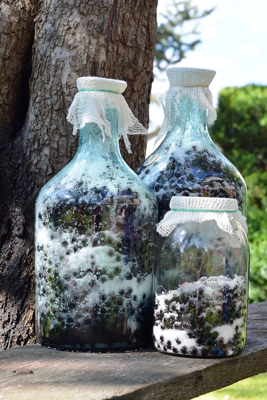 aronia, fruit, preparations, juice, fresh, carboys, ridge tile HD wallpaper