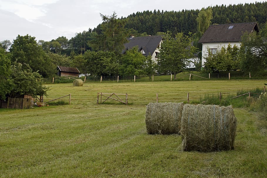 germany, sauerland, landscape, agriculture, hay, arable farming, HD wallpaper