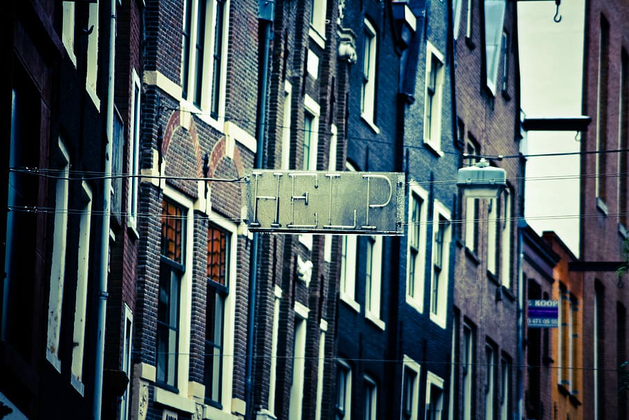 Help?, help signage hanging on street during daytime, letters HD wallpaper