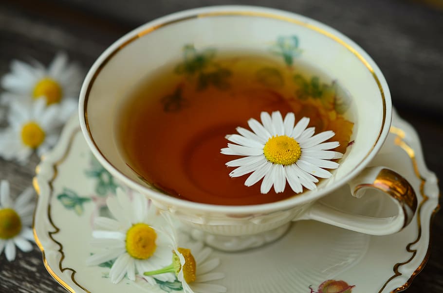 white-and-gold ceramic cup and saucer, chamomile, chamomile tea HD wallpaper