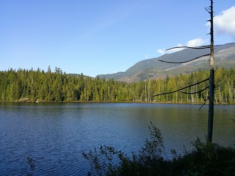mountain, lake, tree, landscape, summer, outdoor, tranquil HD wallpaper