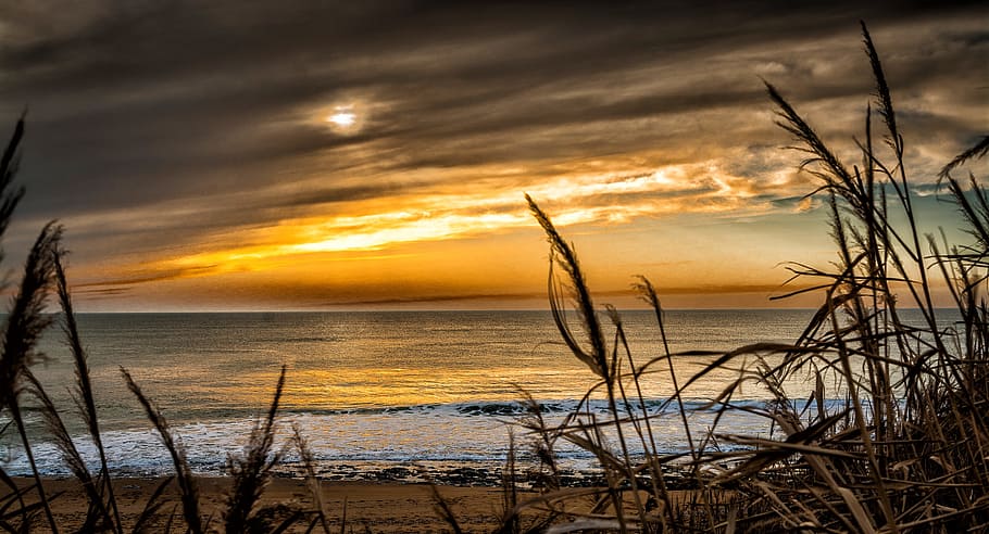 sea, sunset, sand, water, sky, cloud - sky, beauty in nature HD wallpaper