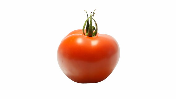 red tomato, vegetable, fresh, ripe, salad, healthy, organic HD wallpaper
