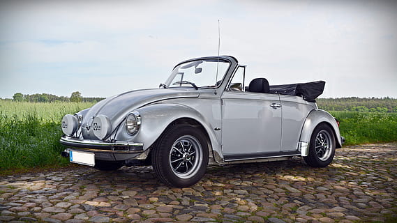 gray Volkswagen Beetle convertible coupe parked on side of road under shade of tree at daytime HD wallpaper