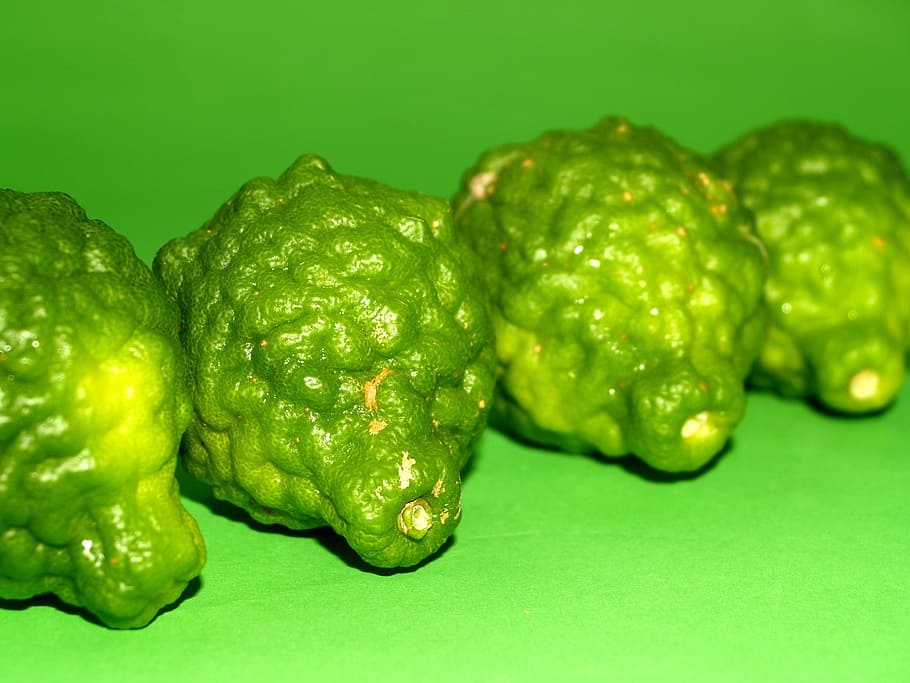 bergamot, fruit, leaf, isolated, thailand, rough, lemon, natural HD wallpaper