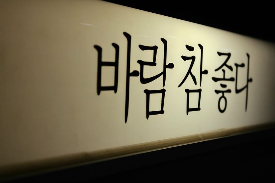 kanji text, wind may indeed, yeouido, hangul, sign, communication