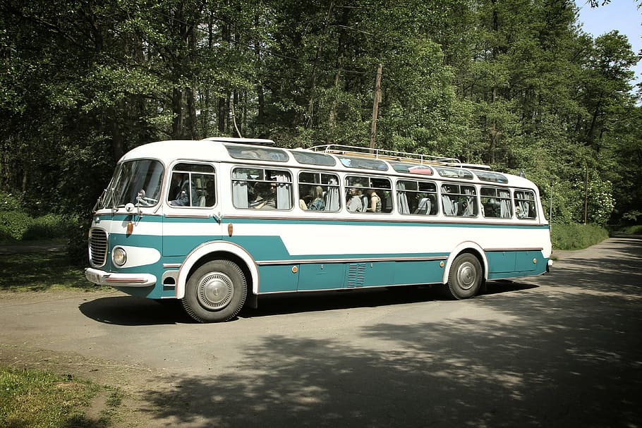 old, bus, oldtimer, vintage, retro, travel, transportation, HD wallpaper