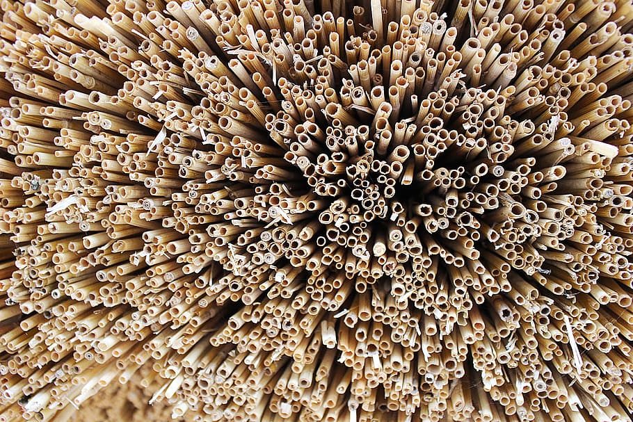 Straws, Halme, schroh, full frame, backgrounds, food and drink HD wallpaper