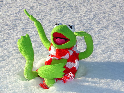 Kermit the Frog lying on snow, fun, winter, cold, green color HD wallpaper
